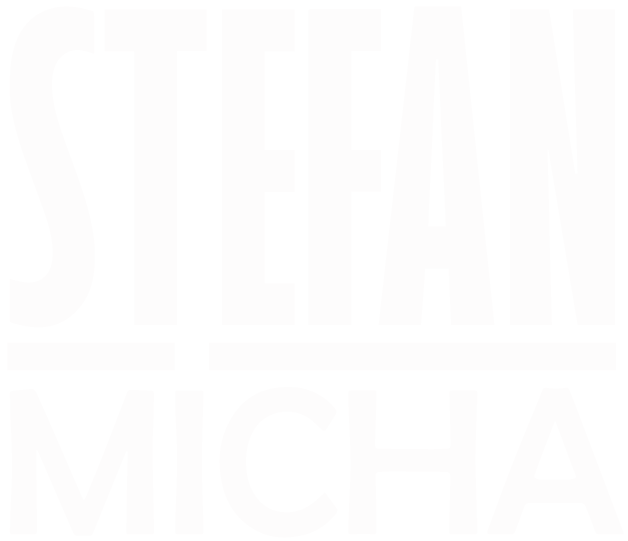 Stefan Micha Fanshop-Logo